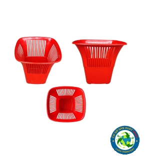 SỌT RÁC