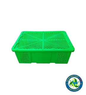 RỖ ĐÓNG TRÁI CÂY 480X360X170MM,850G